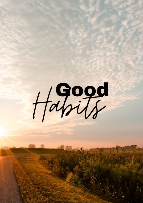 How to Build Good Habits And Break Bad Habits