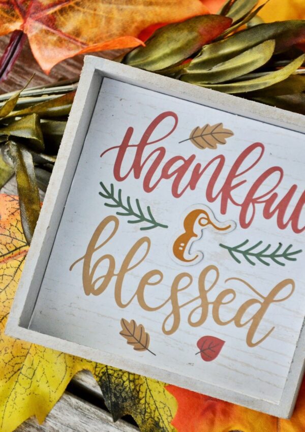 What Is Gratitude And Why Is It So Important?