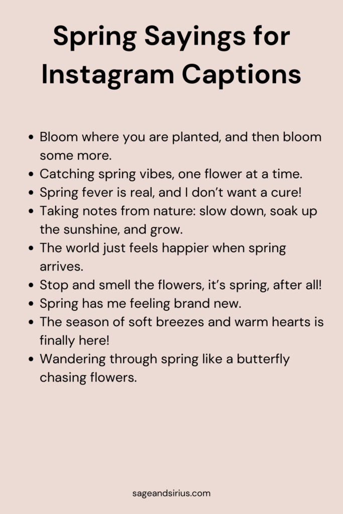 This image has 10 creative spring sayings that make the best spring quotes for Instagram captions and vision boards.