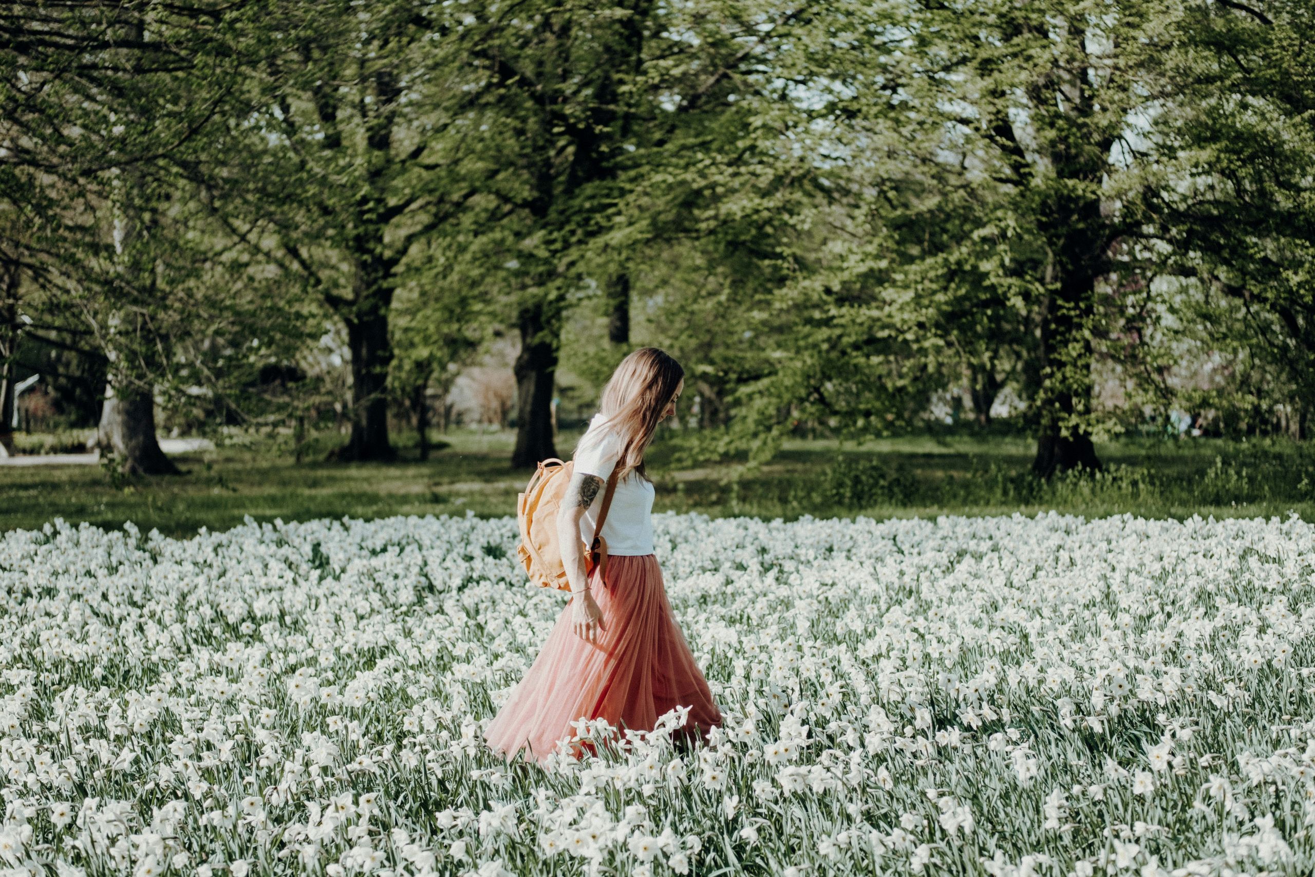 Real Spring Morning 7 Simple Steps to Create a Spring Morning Routine in 2026 - Sage and Sirius